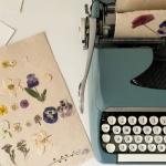 Blüten für Papierkunst: So presst du Blumen und verwandelst sie in einzigartige DIY‑Projekte