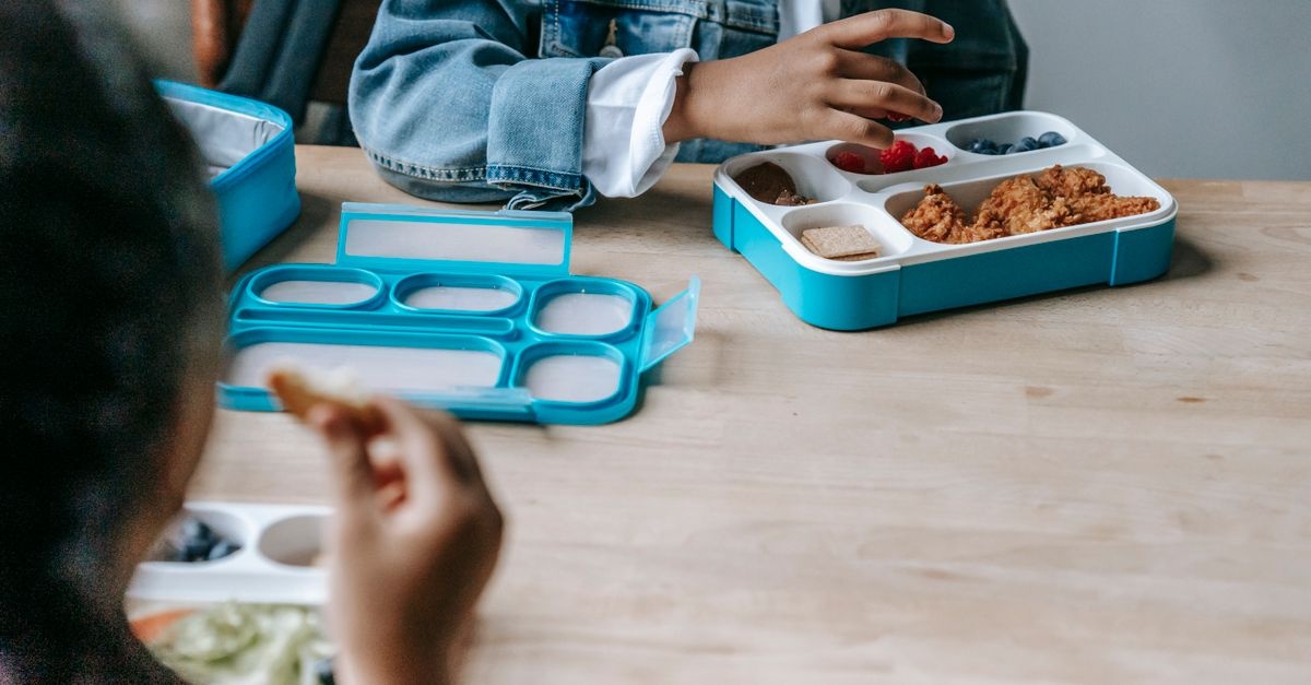 Bunte Brotdose für Kleinkinder: Ideen, die schnell gepackt sind und richtig Spaß machen